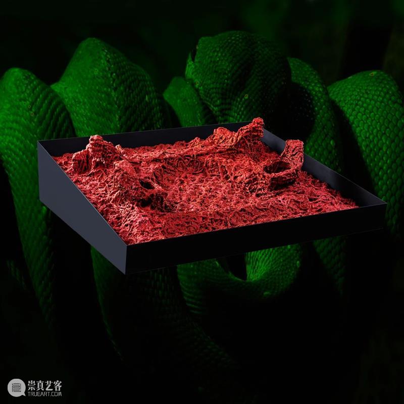 HdM·聚焦 | 对话李竞雄 博文精选 HDM画廊 李竞雄 HdM 安徽 芜湖 硕士 南京艺术学院 工作 上海 个展 按需修仙 崇真艺客